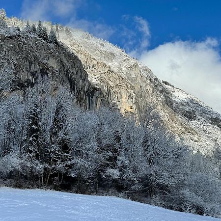 Appartement Cosy Proche Chatel Portes Du Soleil - Linge Inclus Abondance Dış mekan fotoğraf
